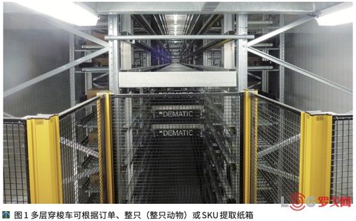 澳大利亞NCMC肉類加工廠提高競爭力的秘訣 自動化物流系統(tǒng)與計算機系統(tǒng)集成服務